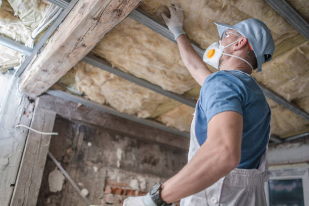 Best Professional Insulation Contractor  in Burgaw, NC