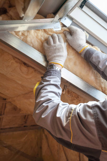Best Insulation Contractors for Homes  in Burgaw, NC