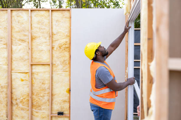 Best Local Insulation Services  in Burgaw, NC