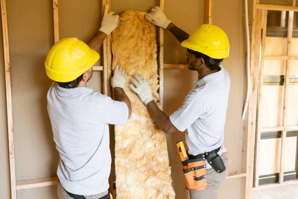 Professional Insulation Contractor in Burgaw, NC