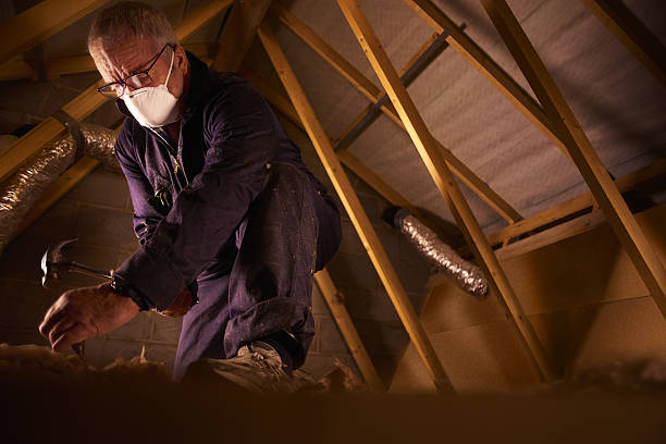 Best Insulation for New Construction  in Burgaw, NC