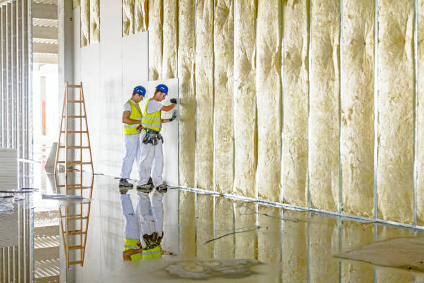 Garage Insulation Installation in Burgaw, NC